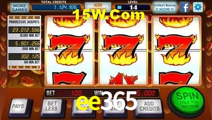 Sistemas de Segurança ee365